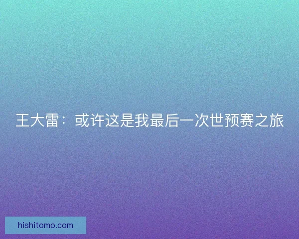 王大雷：或许这是我最后一次世预赛之旅