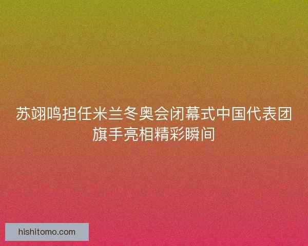 苏翊鸣担任米兰冬奥会闭幕式中国代表团旗手亮相精彩瞬间